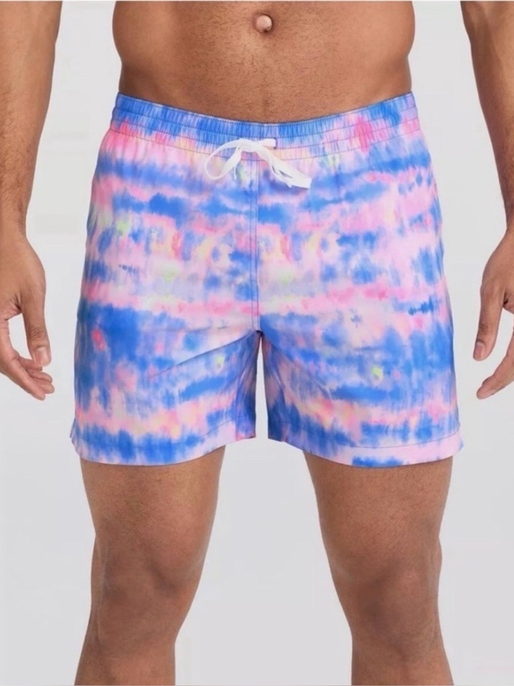 Chubbies Swim Trunks 5.5 inch